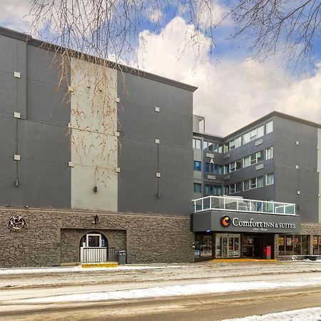 Comfort Inn & Suites Edmonton Buitenkant foto