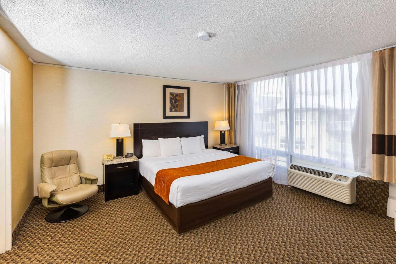 Comfort Inn & Suites Edmonton Buitenkant foto
