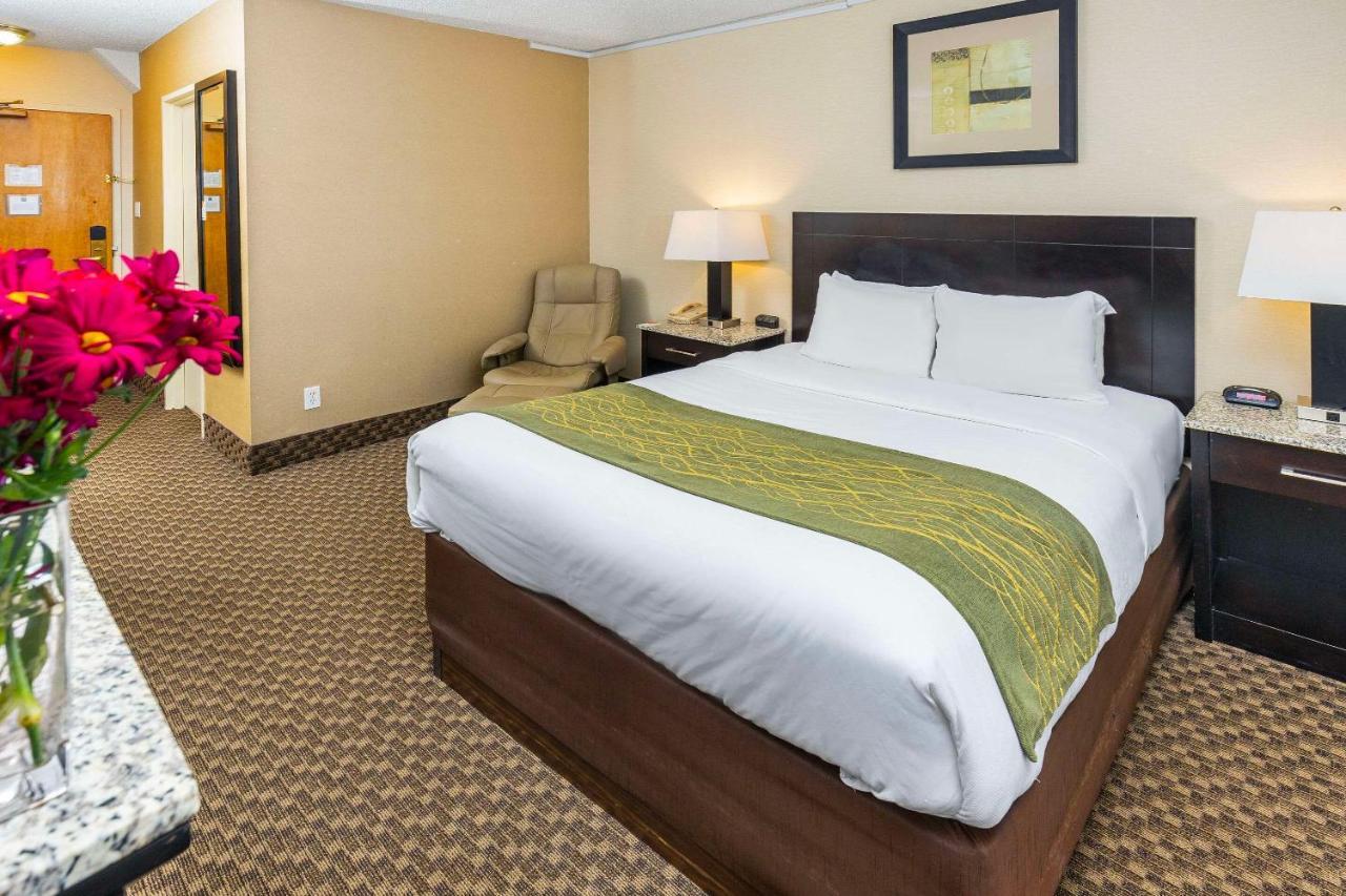Comfort Inn & Suites Edmonton Buitenkant foto