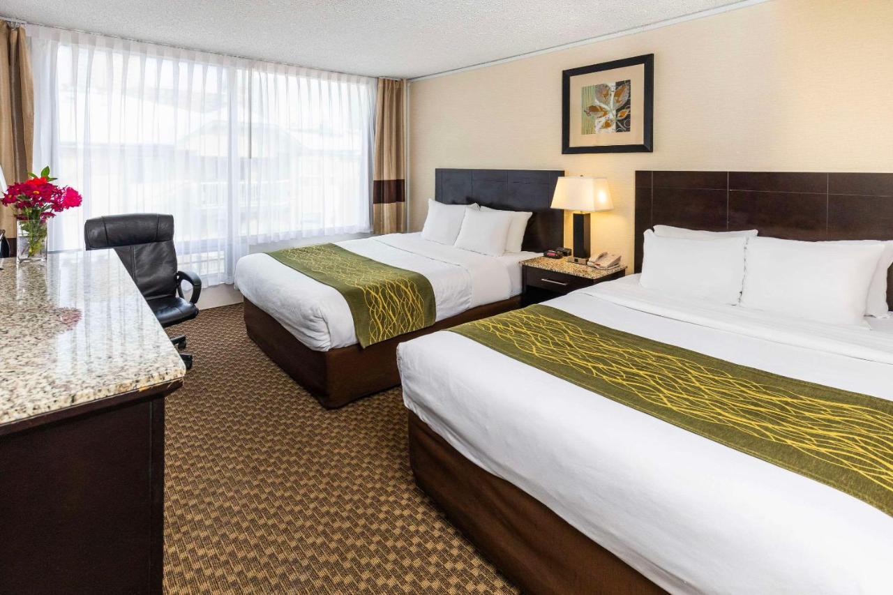 Comfort Inn & Suites Edmonton Buitenkant foto