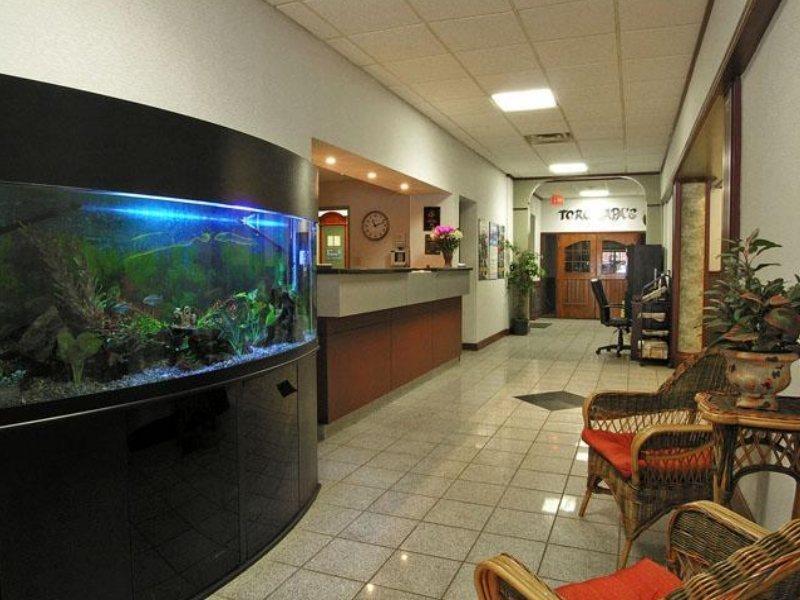 Comfort Inn & Suites Edmonton Interieur foto