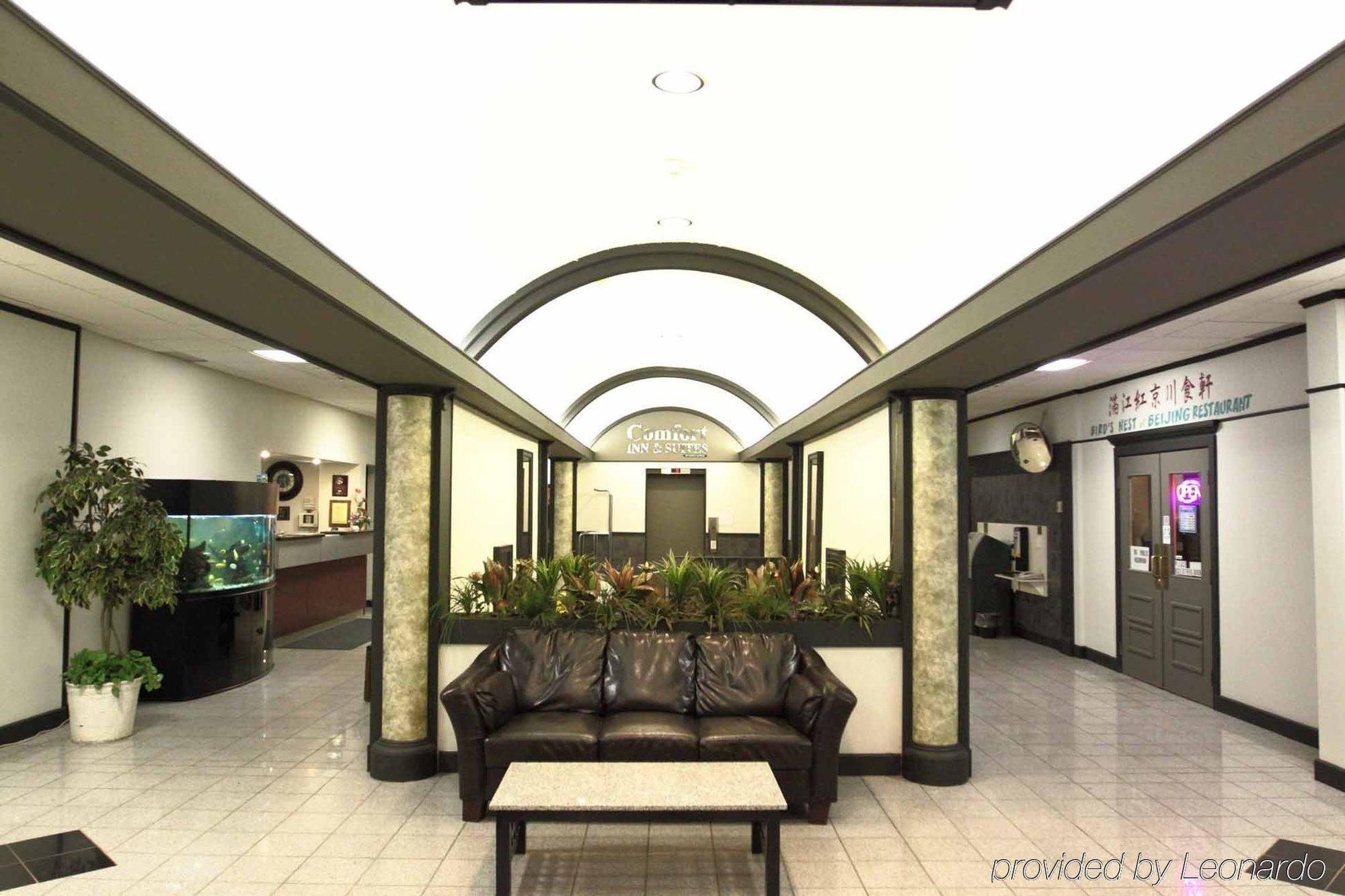 Comfort Inn & Suites Edmonton Buitenkant foto